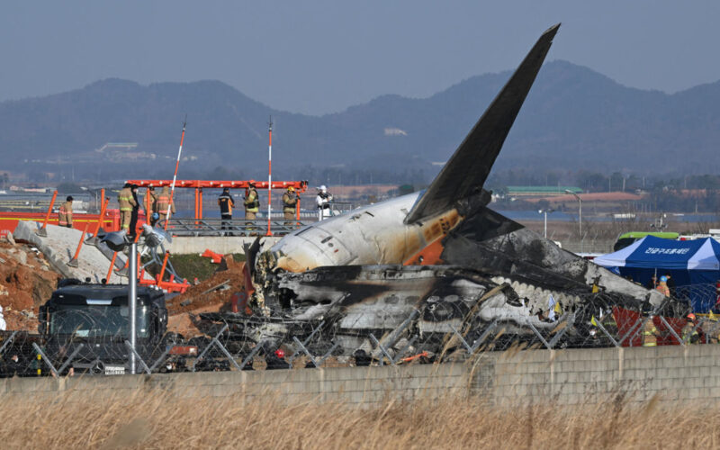 Bird Strike Suspected in Jeju Air Crash at Muan International Airport